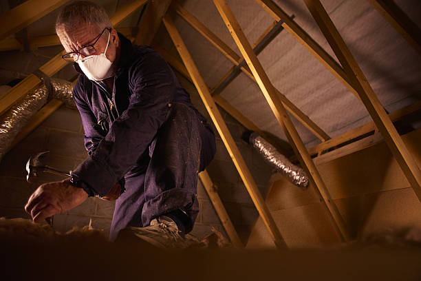 Best Insulation for Specific Applications in Lockwood, MO
